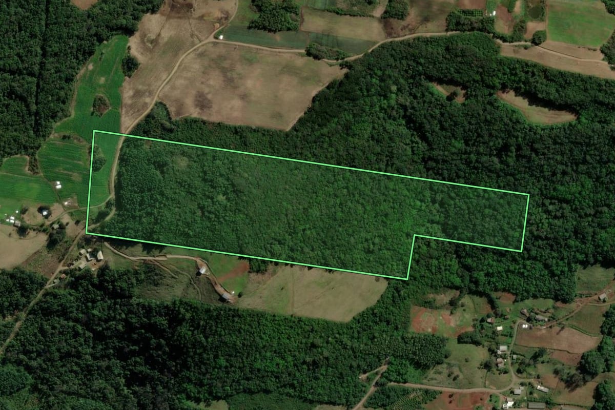 Imagem de satélite do imóvel rural em Santa Maria do Herval (RS), com o contorno declarado no CAR desenhado por cima.