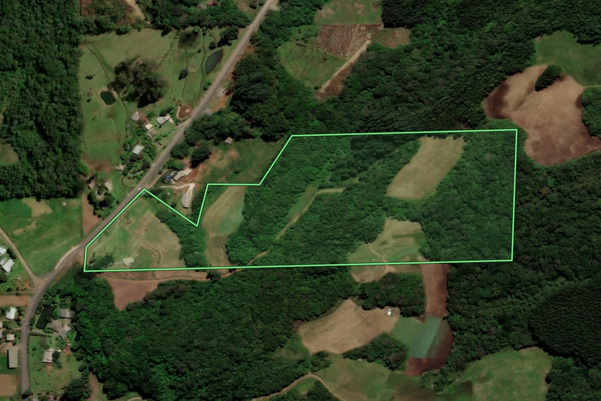 Imagem de satélite do imóvel rural em Santa Maria do Herval (RS), com o contorno declarado no CAR desenhado por cima.