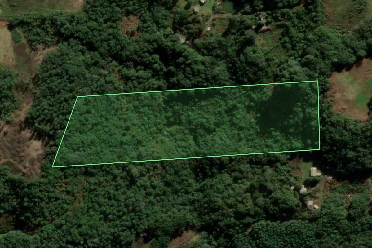 Imagem de satélite do imóvel rural em Santa Maria do Herval (RS), com o contorno declarado no CAR desenhado por cima.