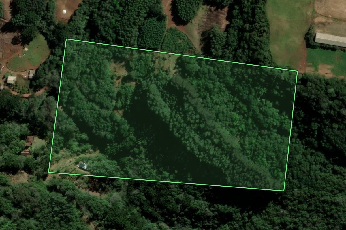 Imagem de satélite do imóvel rural em Santa Maria do Herval (RS), com o contorno declarado no CAR desenhado por cima.