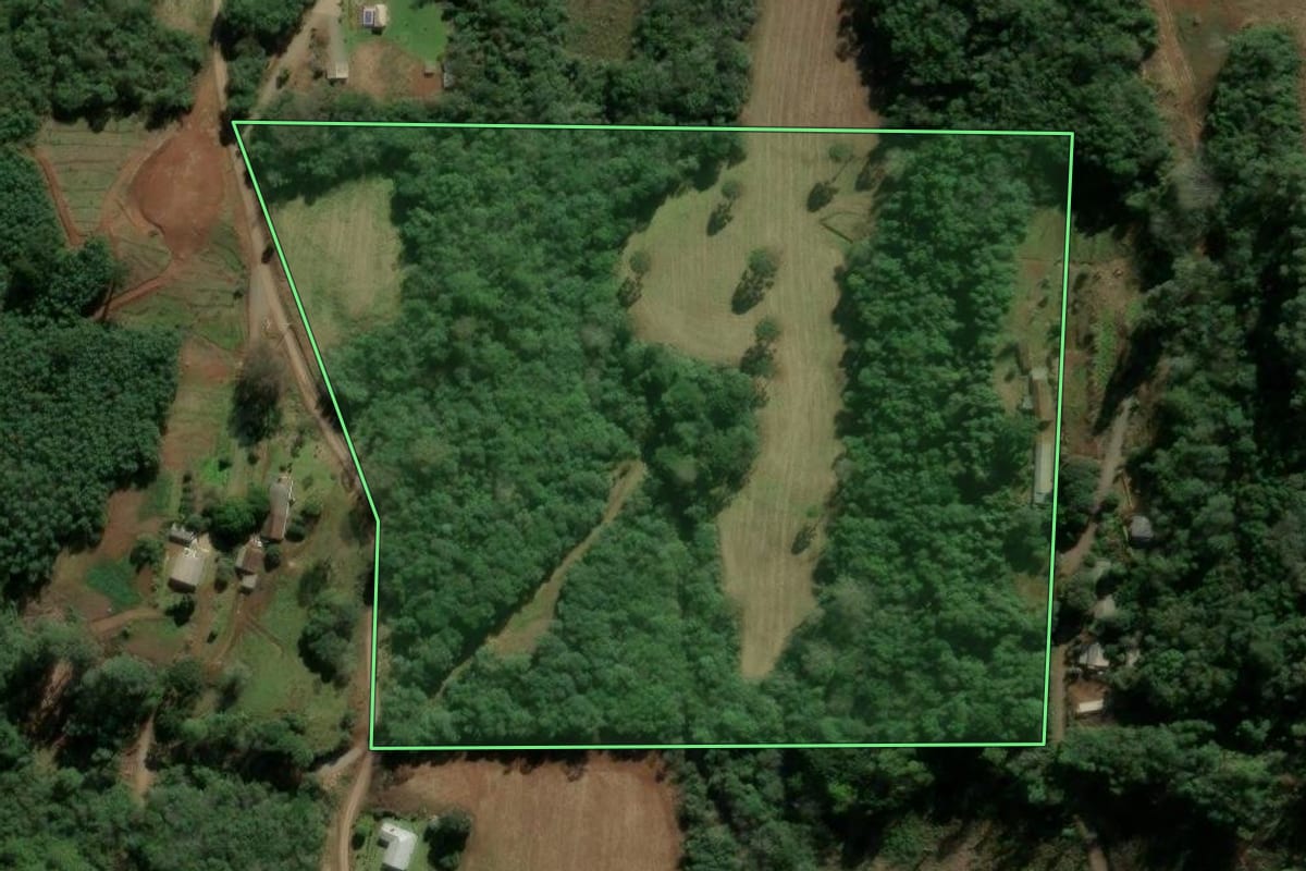 Imagem de satélite do imóvel rural em Santa Maria do Herval (RS), com o contorno declarado no CAR desenhado por cima.