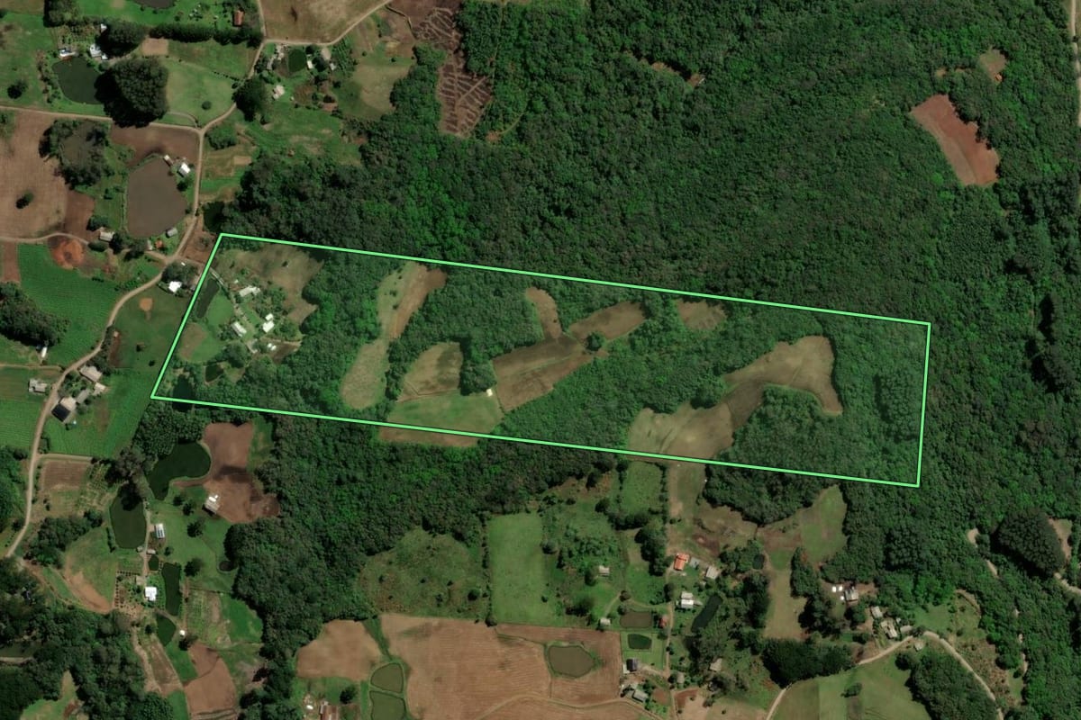 Imagem de satélite do imóvel rural em Santa Maria do Herval (RS), com o contorno declarado no CAR desenhado por cima.