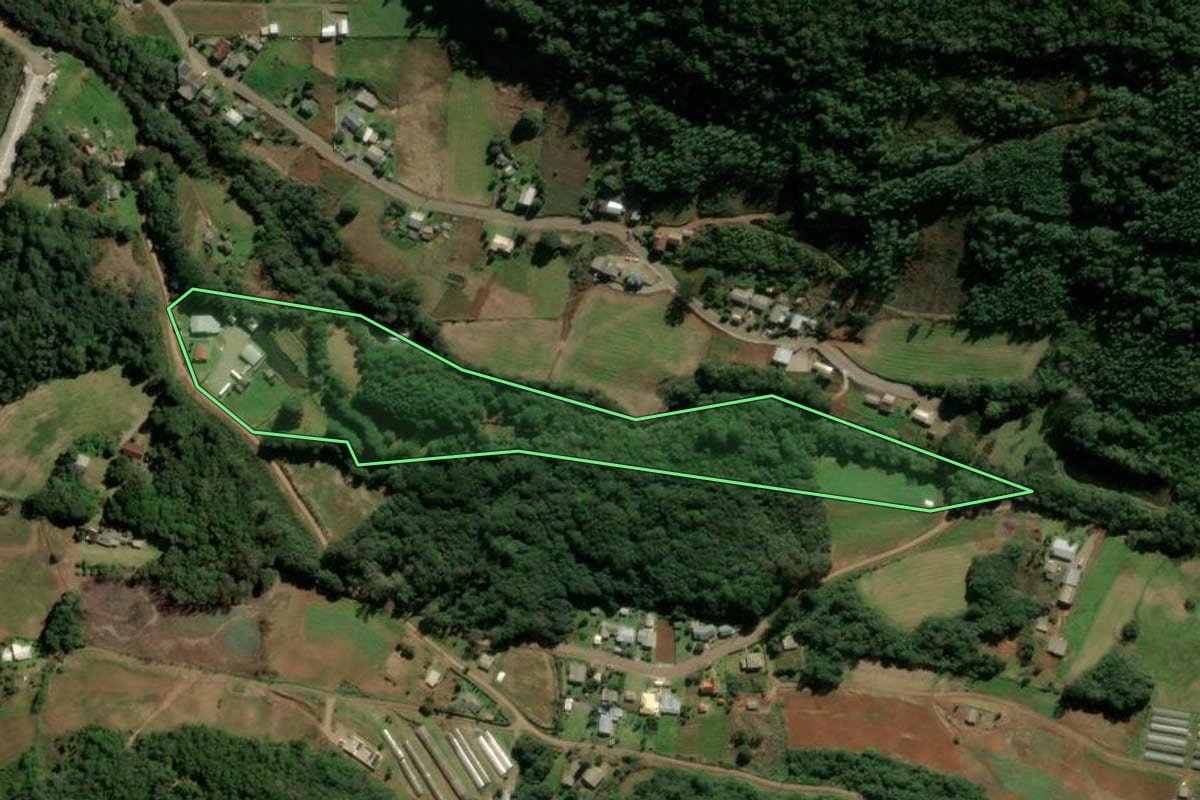 Imagem de satélite do imóvel rural em Santa Maria do Herval (RS), com o contorno declarado no CAR desenhado por cima.