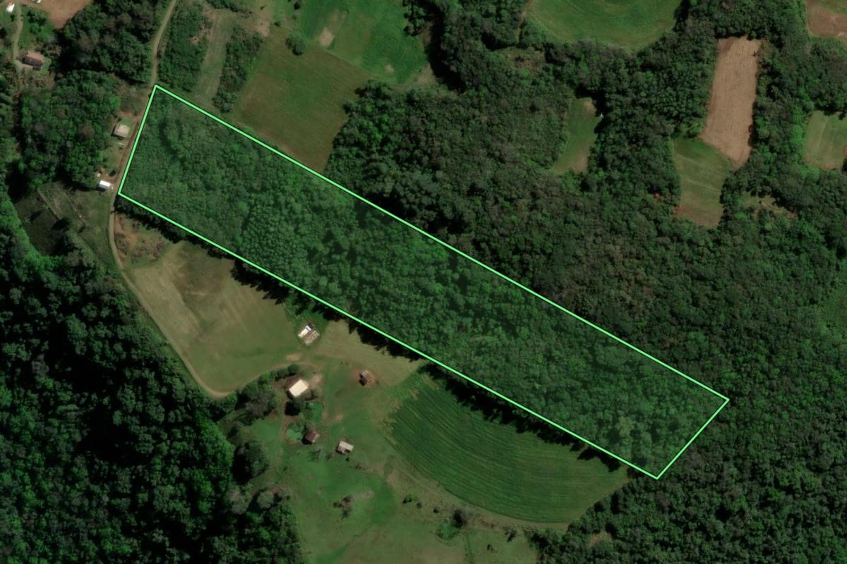Imagem de satélite do imóvel rural em Santa Maria do Herval (RS), com o contorno declarado no CAR desenhado por cima.