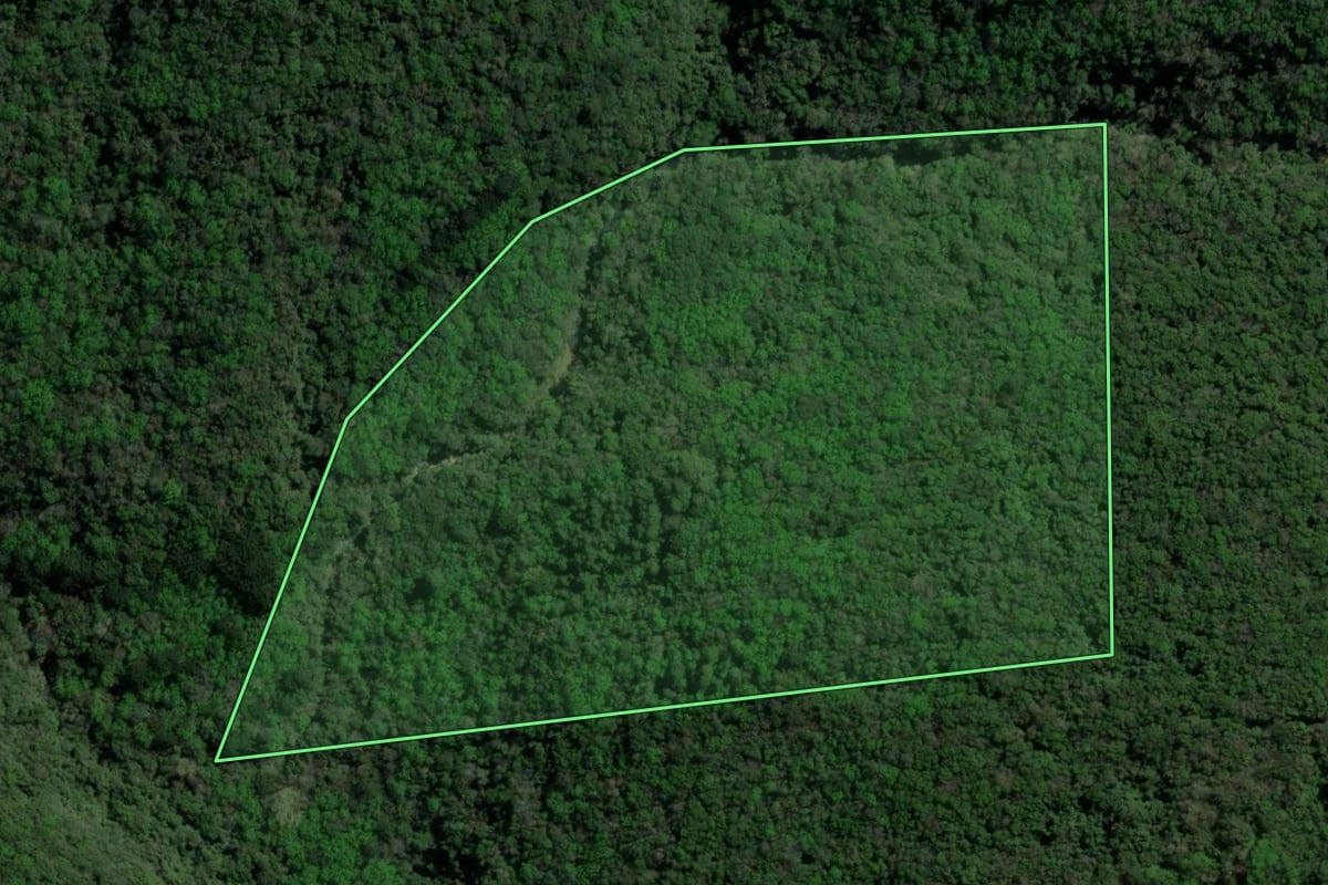 Imagem de satélite do imóvel rural em Santa Maria do Herval (RS), com o contorno declarado no CAR desenhado por cima.