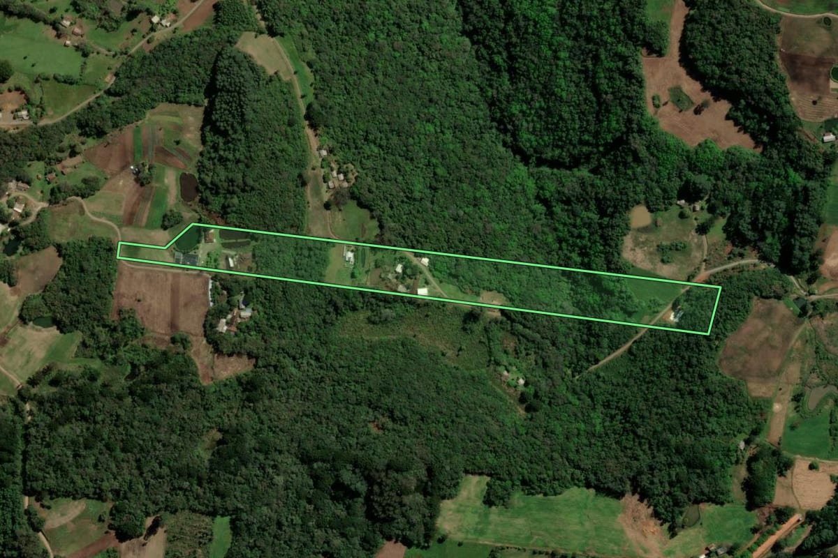 Imagem de satélite do imóvel rural em Santa Maria do Herval (RS), com o contorno declarado no CAR desenhado por cima.