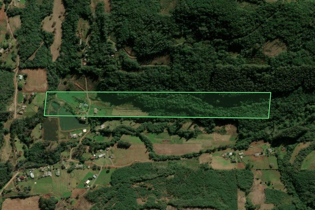 Imagem de satélite do imóvel rural em Santa Maria do Herval (RS), com o contorno declarado no CAR desenhado por cima.