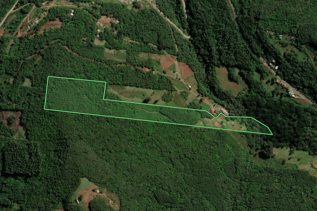 Imagem de satélite do imóvel rural em Santa Maria do Herval (RS), com o contorno declarado no CAR desenhado por cima.