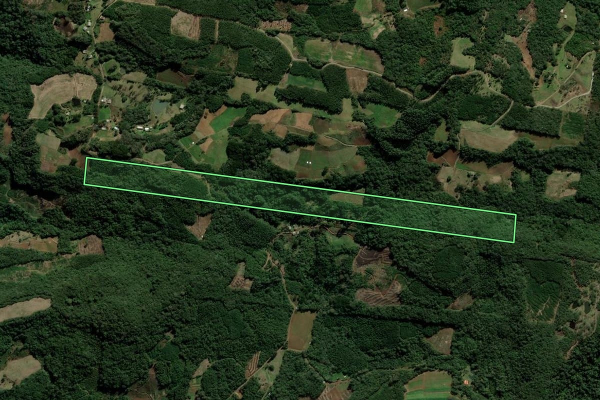 Imagem de satélite do imóvel rural em Santa Maria do Herval (RS), com o contorno declarado no CAR desenhado por cima.