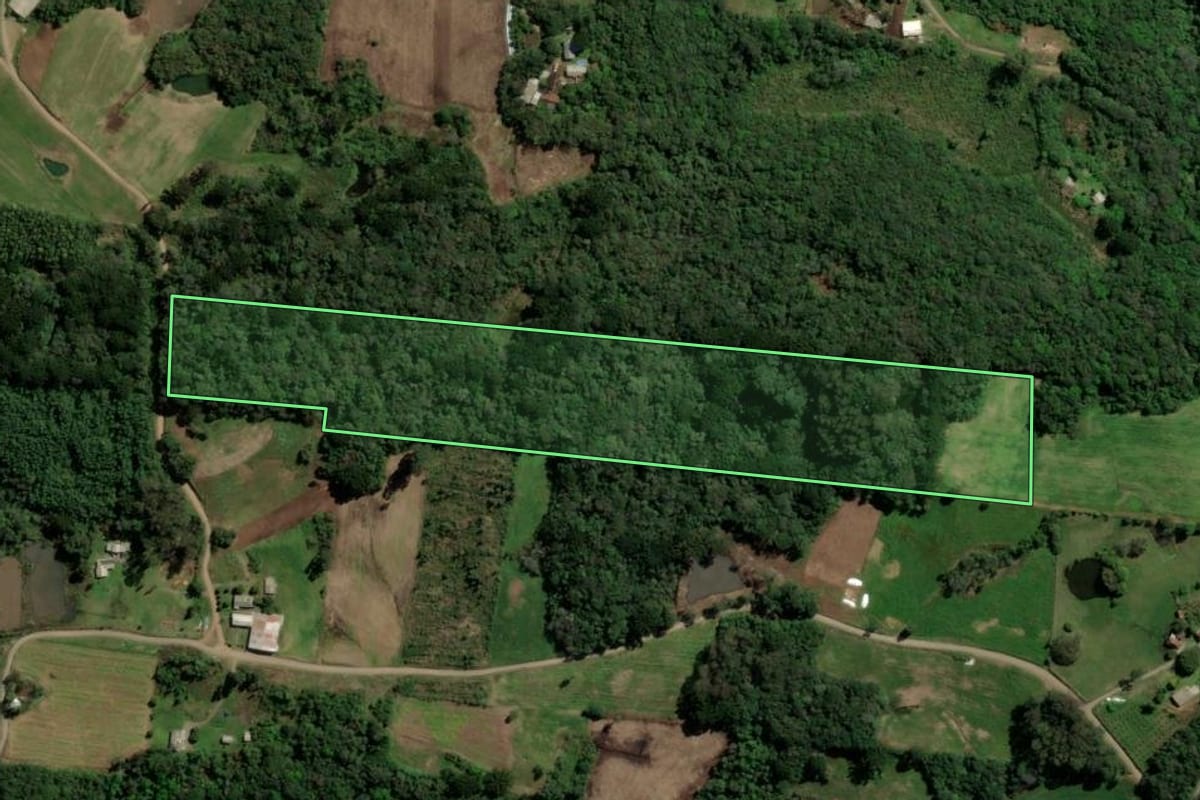 Imagem de satélite do imóvel rural em Santa Maria do Herval (RS), com o contorno declarado no CAR desenhado por cima.