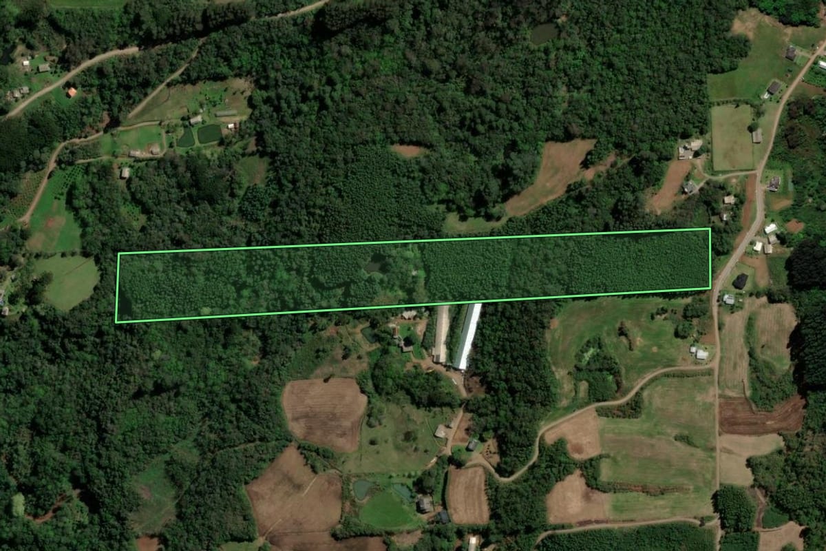 Imagem de satélite do imóvel rural em Santa Maria do Herval (RS), com o contorno declarado no CAR desenhado por cima.
