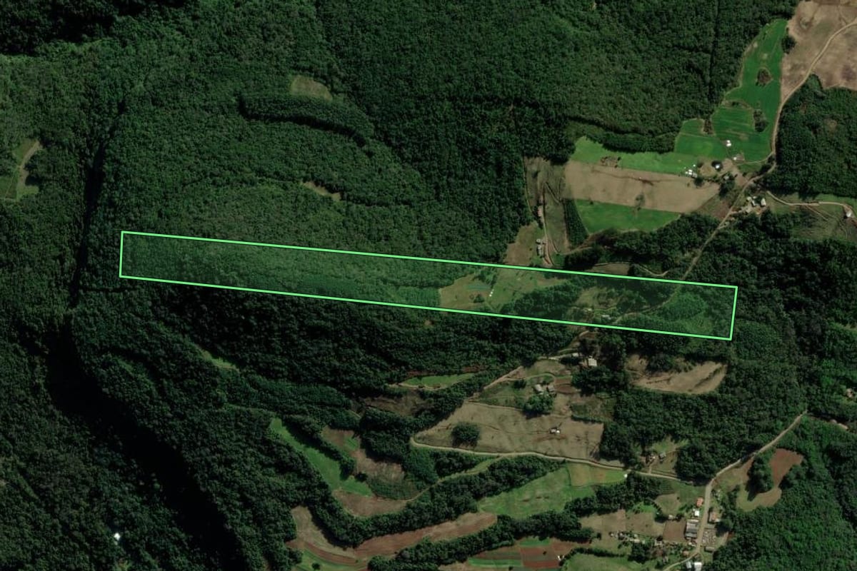 Imagem de satélite do imóvel rural em Santa Maria do Herval (RS), com o contorno declarado no CAR desenhado por cima.