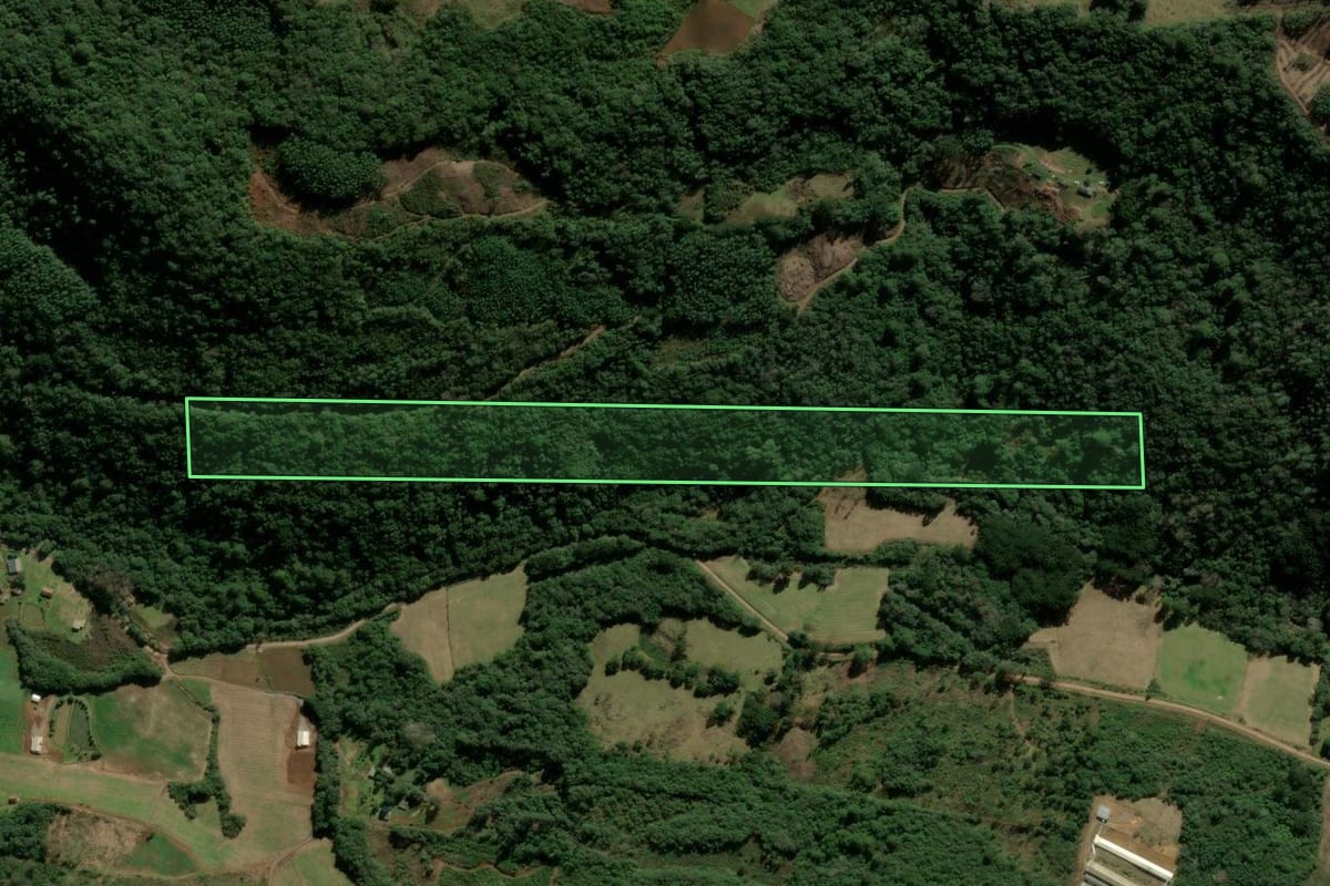 Imagem de satélite do imóvel rural em Santa Maria do Herval (RS), com o contorno declarado no CAR desenhado por cima.