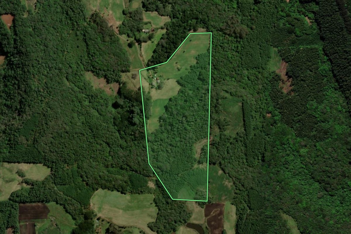 Imagem de satélite do imóvel rural em Santa Maria do Herval (RS), com o contorno declarado no CAR desenhado por cima.