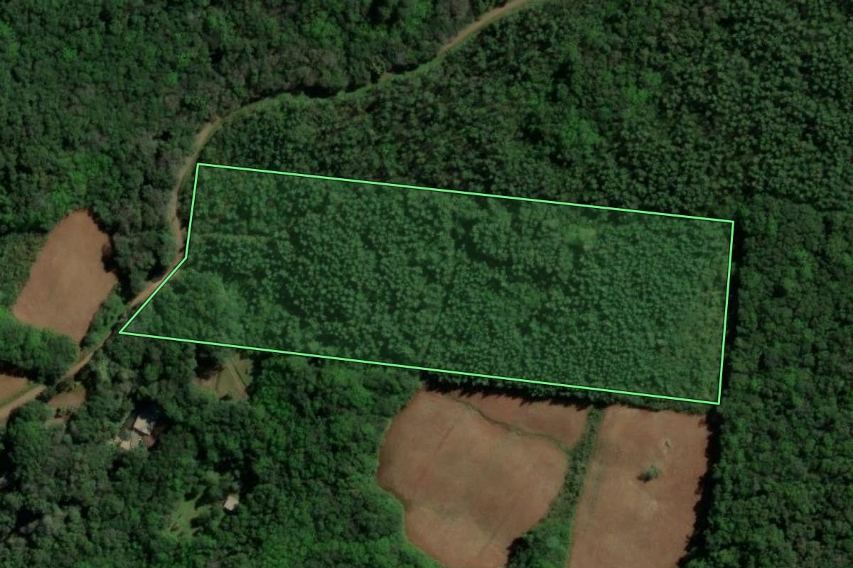 Imagem de satélite do imóvel rural em Santa Maria do Herval (RS), com o contorno declarado no CAR desenhado por cima.