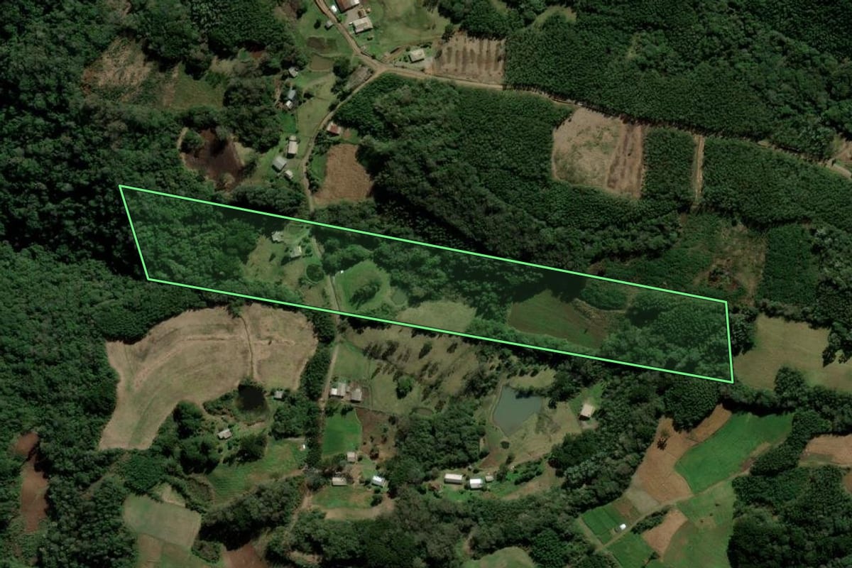Imagem de satélite do imóvel rural em Santa Maria do Herval (RS), com o contorno declarado no CAR desenhado por cima.