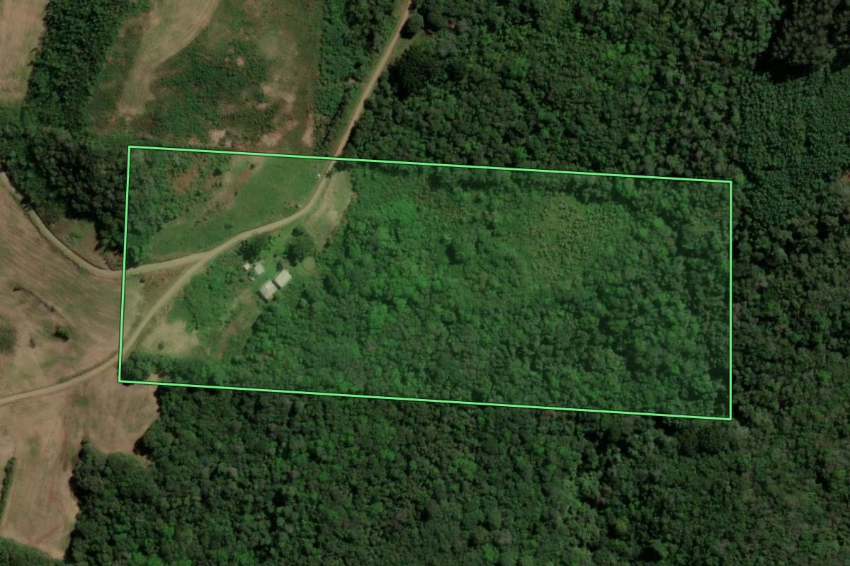 Imagem de satélite do imóvel rural em Santa Maria do Herval (RS), com o contorno declarado no CAR desenhado por cima.