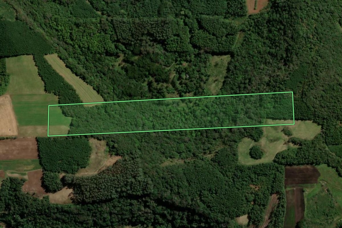 Imagem de satélite do imóvel rural em Santa Maria do Herval (RS), com o contorno declarado no CAR desenhado por cima.