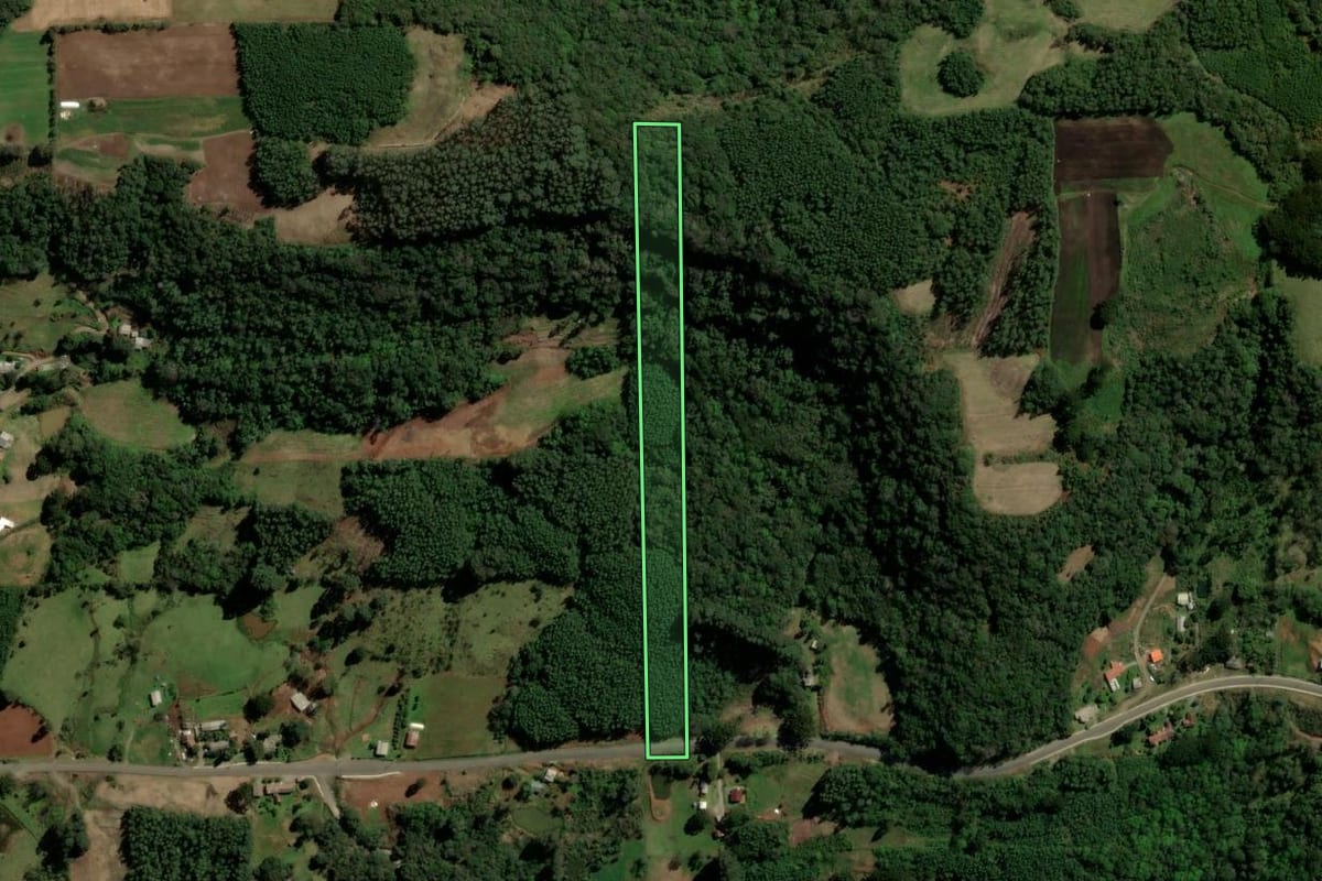 Imagem de satélite do imóvel rural em Santa Maria do Herval (RS), com o contorno declarado no CAR desenhado por cima.
