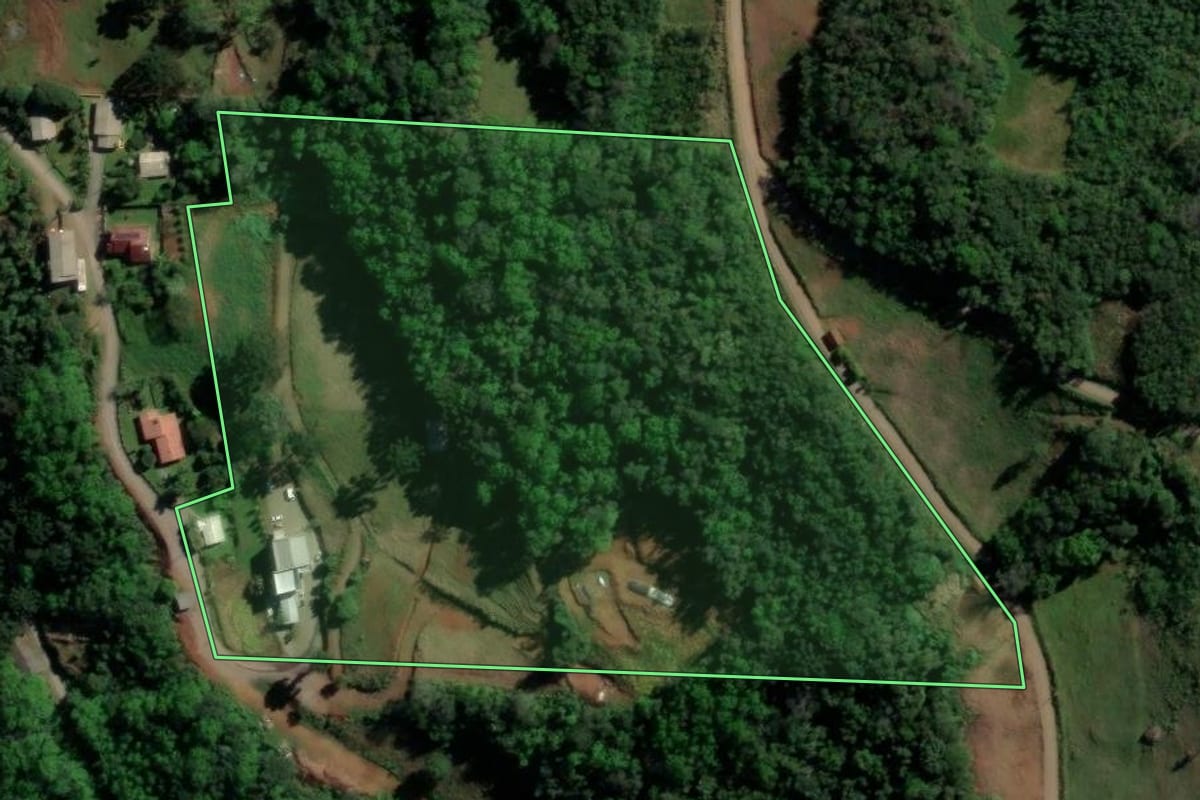 Imagem de satélite do imóvel rural em Santa Maria do Herval (RS), com o contorno declarado no CAR desenhado por cima.