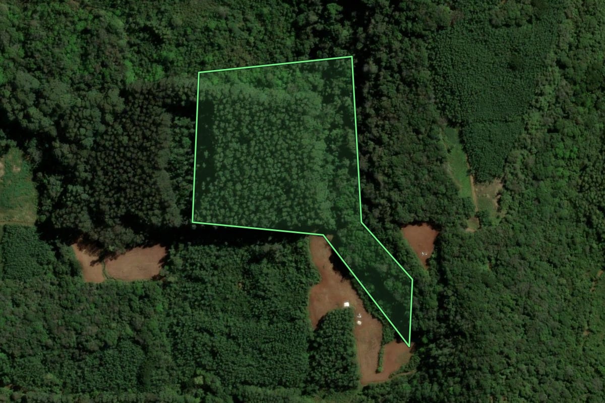 Imagem de satélite do imóvel rural em Santa Maria do Herval (RS), com o contorno declarado no CAR desenhado por cima.