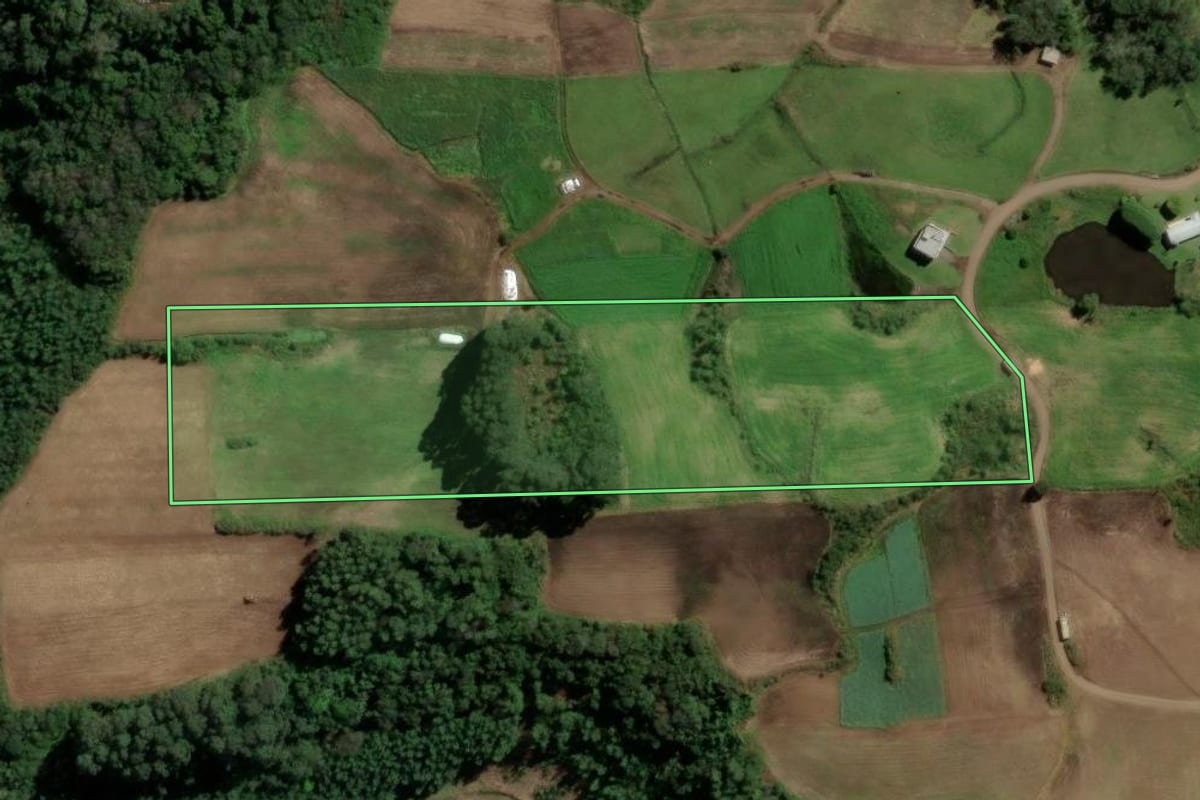 Imagem de satélite do imóvel rural em Santa Maria do Herval (RS), com o contorno declarado no CAR desenhado por cima.