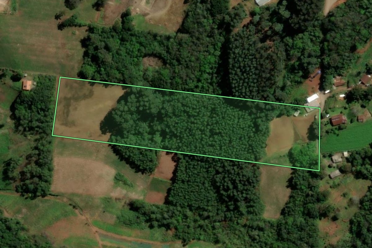 Imagem de satélite do imóvel rural em Santa Maria do Herval (RS), com o contorno declarado no CAR desenhado por cima.