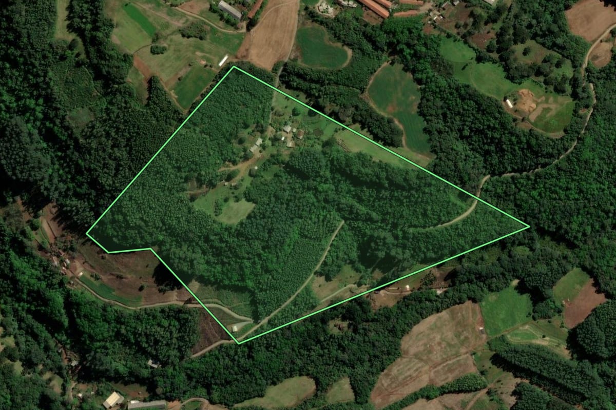 Imagem de satélite do imóvel rural em Santa Maria do Herval (RS), com o contorno declarado no CAR desenhado por cima.