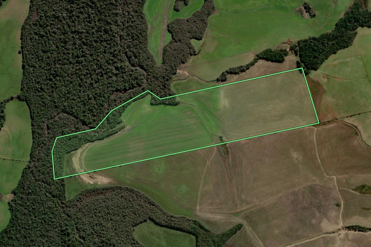 Imagem de satélite do imóvel rural em Santa Margarida do Sul (RS), com o contorno declarado no CAR desenhado por cima.