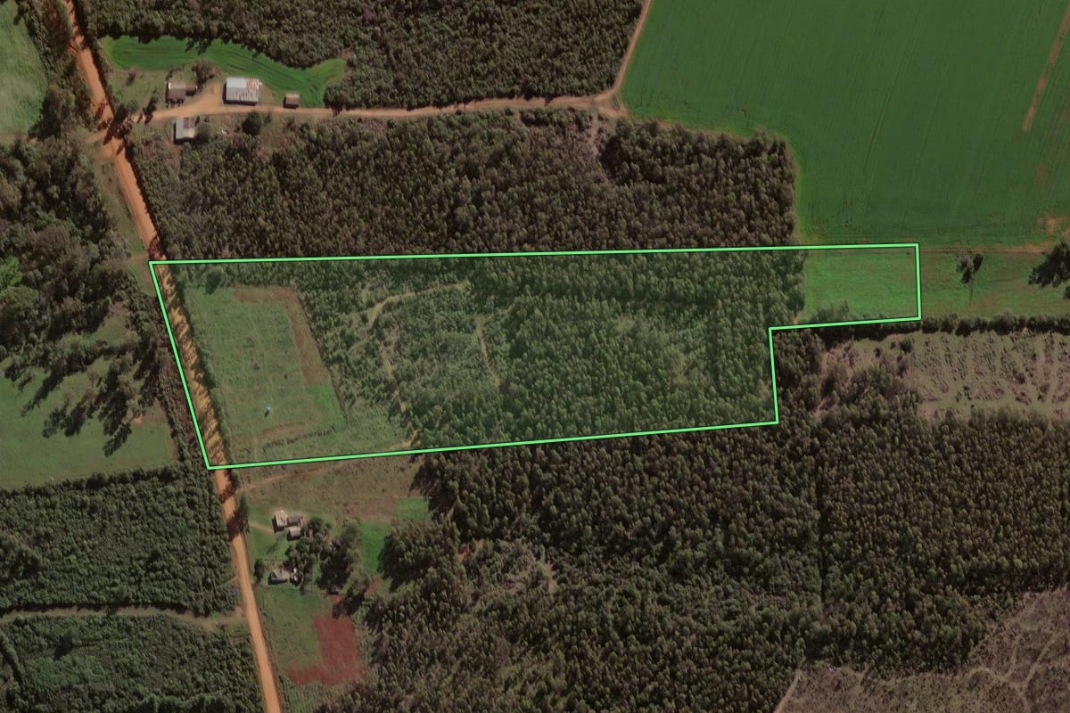 Imagem de satélite do imóvel rural em Santa Margarida do Sul (RS), com o contorno declarado no CAR desenhado por cima.