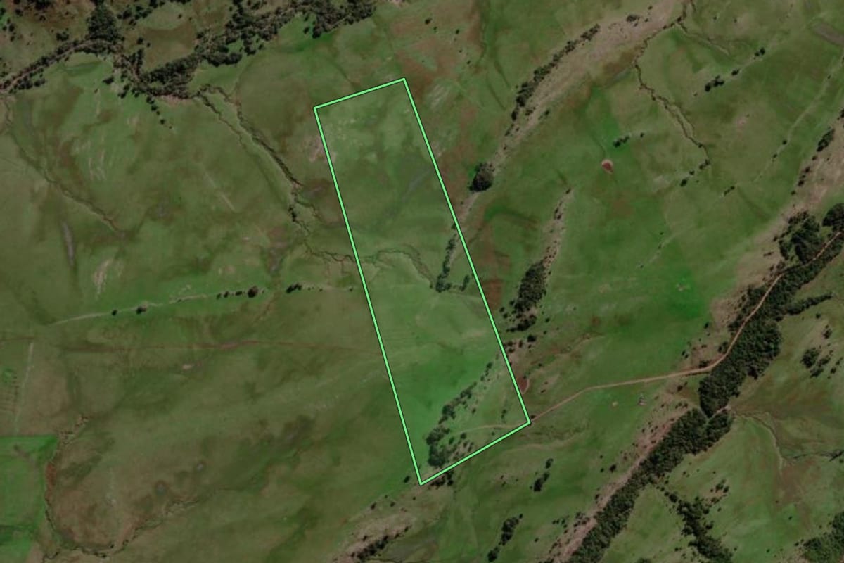 Imagem de satélite do imóvel rural em Santa Margarida do Sul (RS), com o contorno declarado no CAR desenhado por cima.