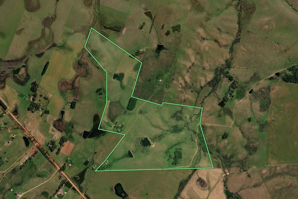 Imagem de satélite do imóvel rural em Santa Margarida do Sul (RS), com o contorno declarado no CAR desenhado por cima.