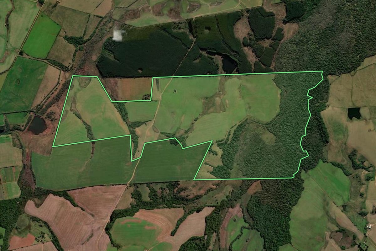 Imagem de satélite do imóvel rural em Santa Margarida do Sul (RS), com o contorno declarado no CAR desenhado por cima.
