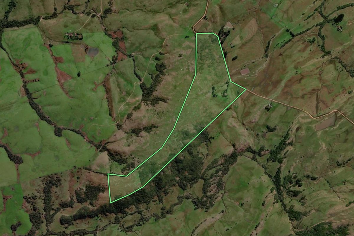 Imagem de satélite do imóvel rural em Santa Margarida do Sul (RS), com o contorno declarado no CAR desenhado por cima.