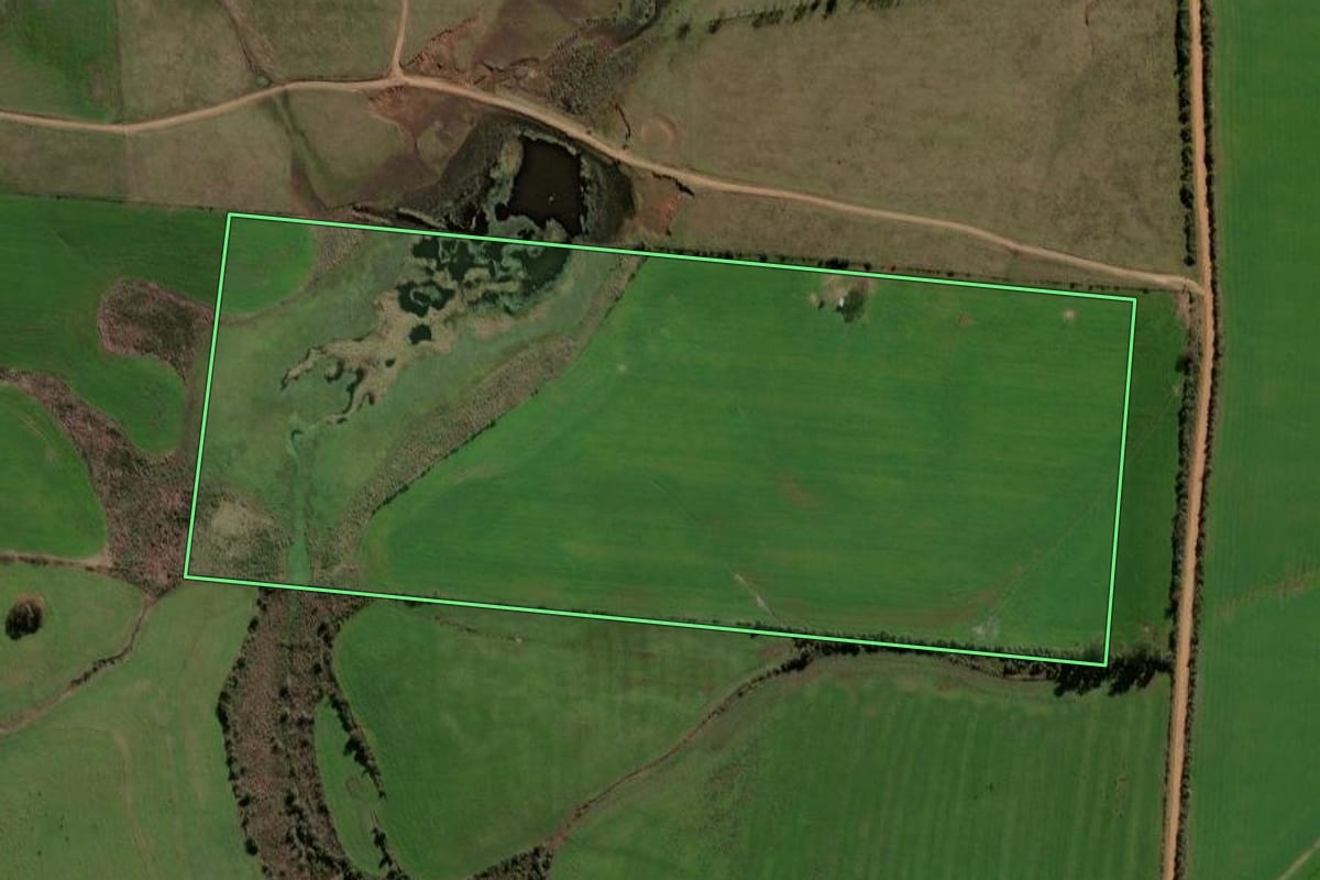 Imagem de satélite do imóvel rural em Santa Margarida do Sul (RS), com o contorno declarado no CAR desenhado por cima.