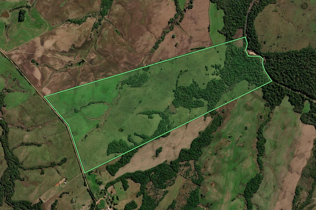 Imagem de satélite do imóvel rural em Santa Margarida do Sul (RS), com o contorno declarado no CAR desenhado por cima.