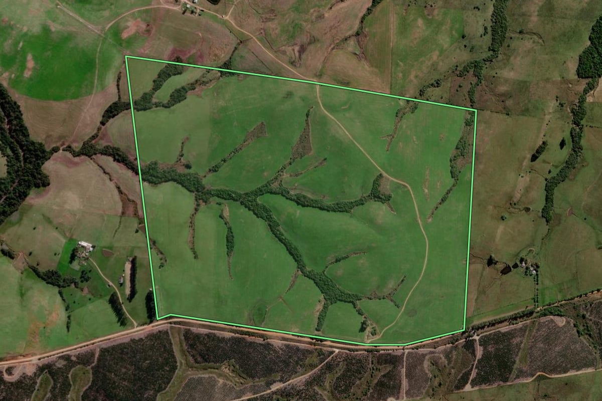 Imagem de satélite do imóvel rural em Santa Margarida do Sul (RS), com o contorno declarado no CAR desenhado por cima.