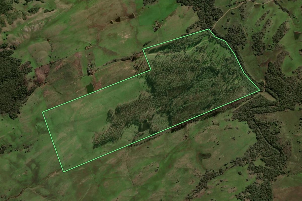Imagem de satélite do imóvel rural em Santa Margarida do Sul (RS), com o contorno declarado no CAR desenhado por cima.