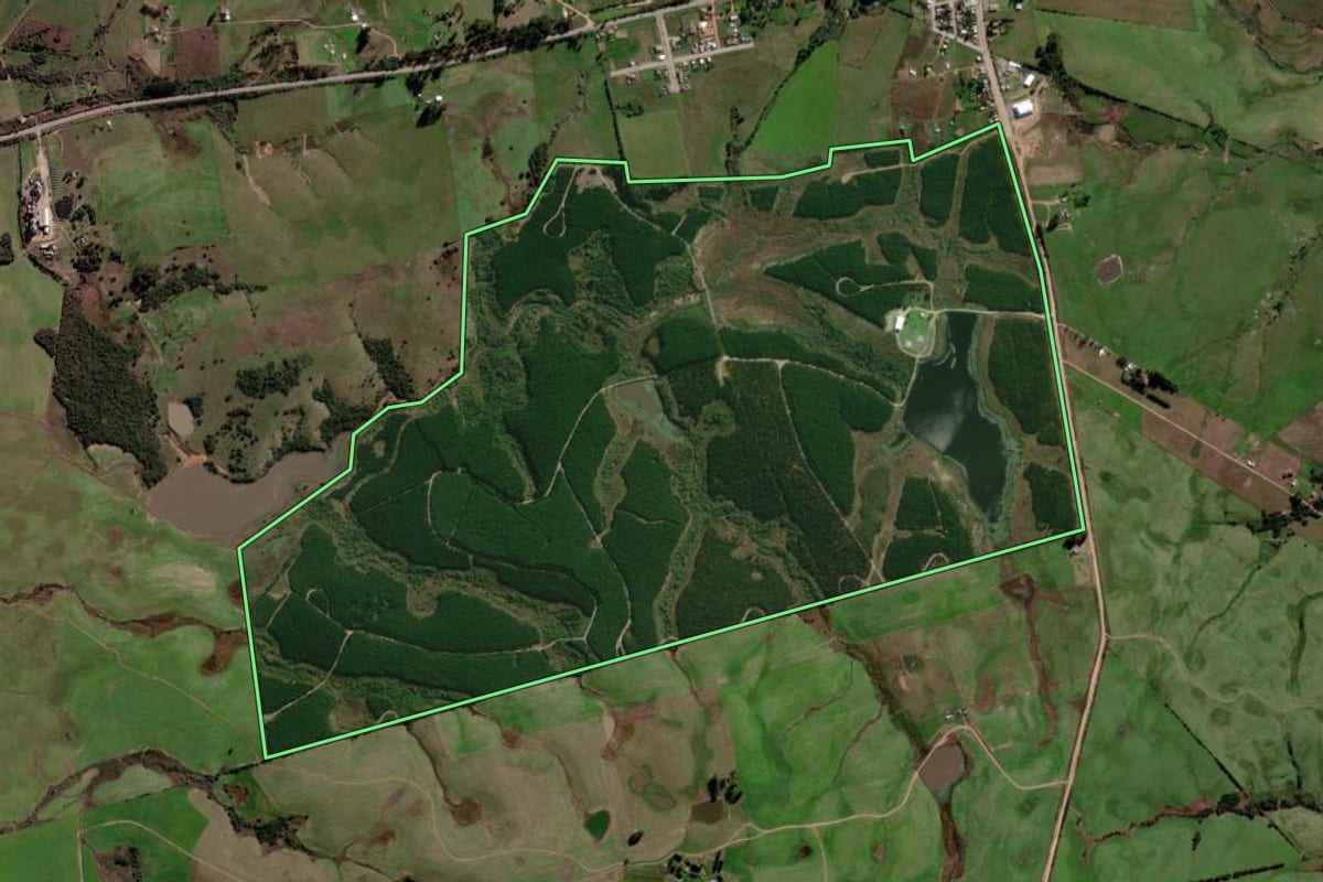 Imagem de satélite do imóvel rural em Santa Margarida do Sul (RS), com o contorno declarado no CAR desenhado por cima.