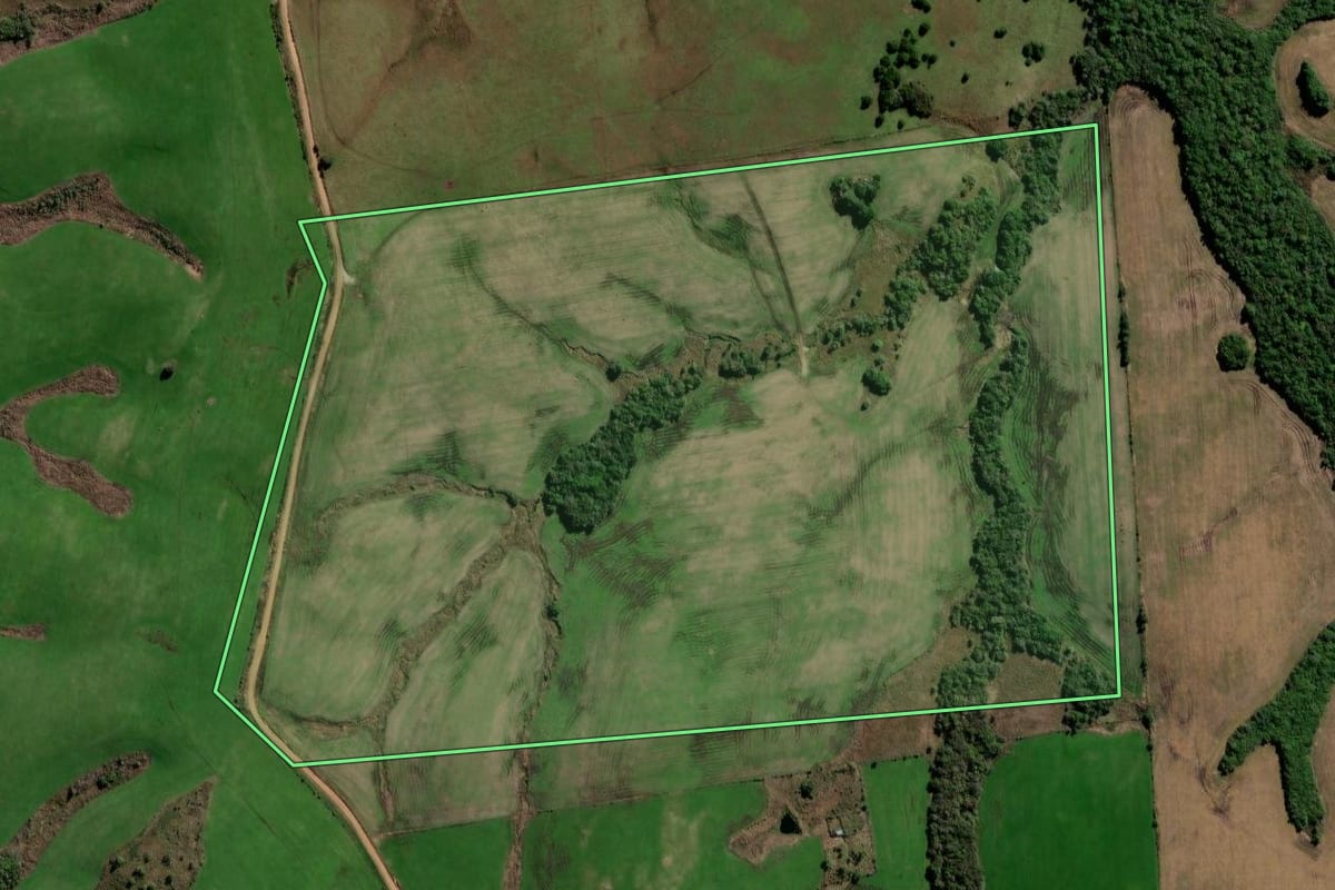 Imagem de satélite do imóvel rural em Santa Margarida do Sul (RS), com o contorno declarado no CAR desenhado por cima.