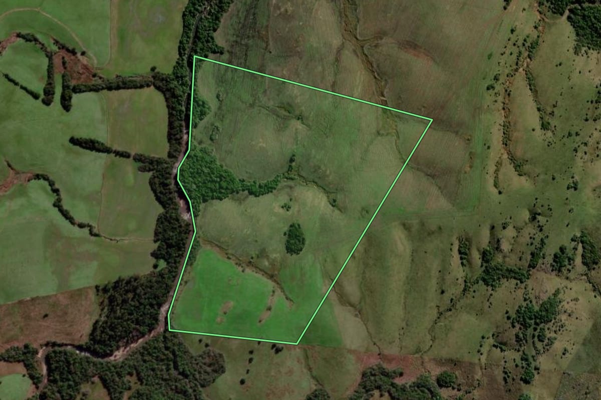 Imagem de satélite do imóvel rural em Santa Margarida do Sul (RS), com o contorno declarado no CAR desenhado por cima.