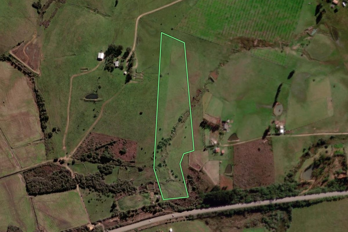 Imagem de satélite do imóvel rural em Santa Margarida do Sul (RS), com o contorno declarado no CAR desenhado por cima.