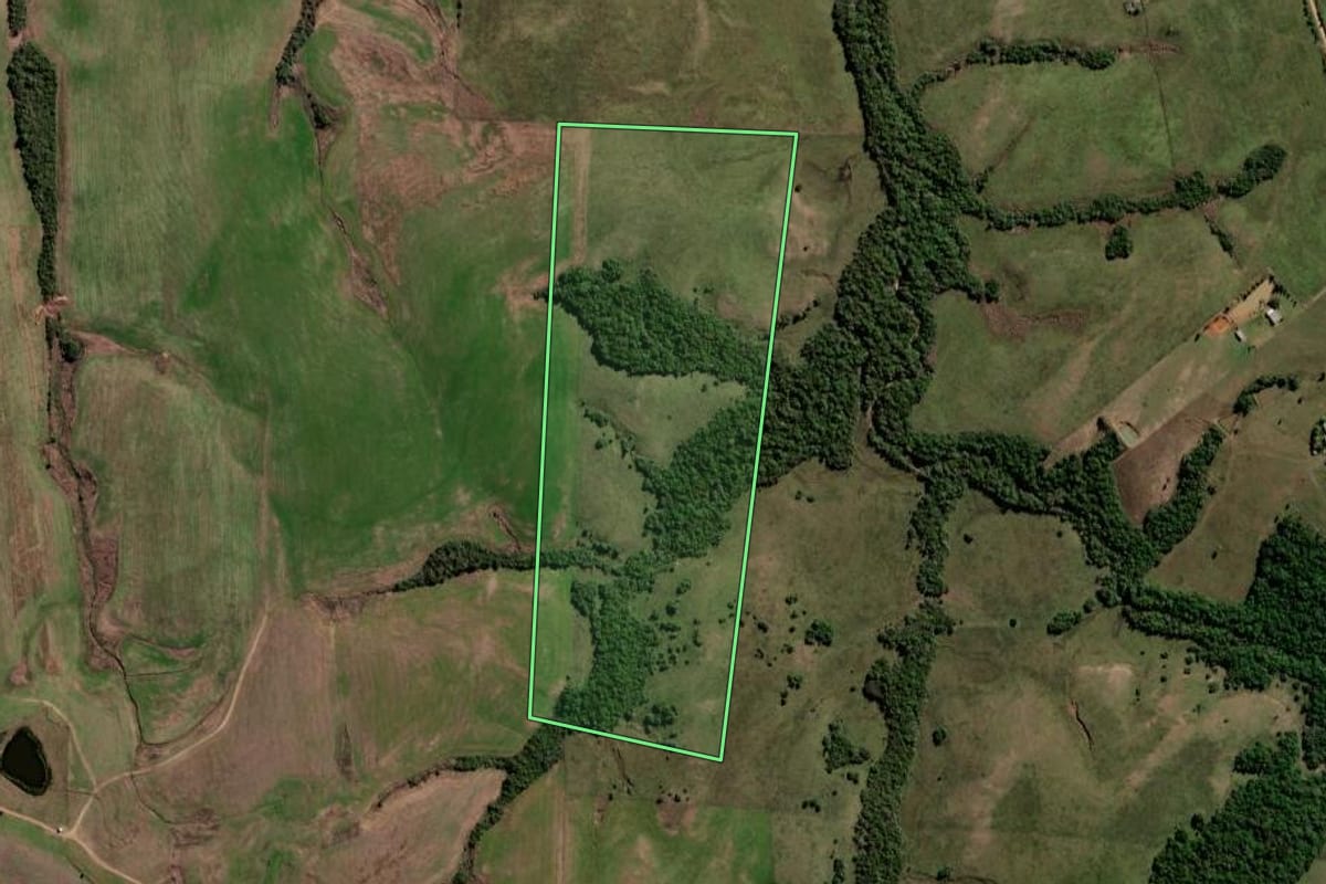 Imagem de satélite do imóvel rural em Santa Margarida do Sul (RS), com o contorno declarado no CAR desenhado por cima.