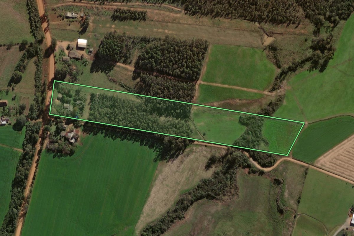 Imagem de satélite do imóvel rural em Santa Margarida do Sul (RS), com o contorno declarado no CAR desenhado por cima.