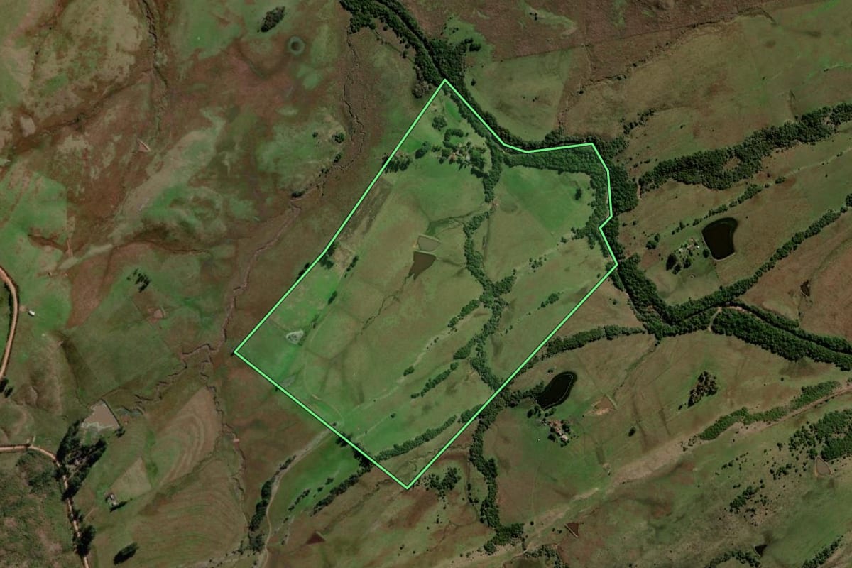 Imagem de satélite do imóvel rural em Santa Margarida do Sul (RS), com o contorno declarado no CAR desenhado por cima.
