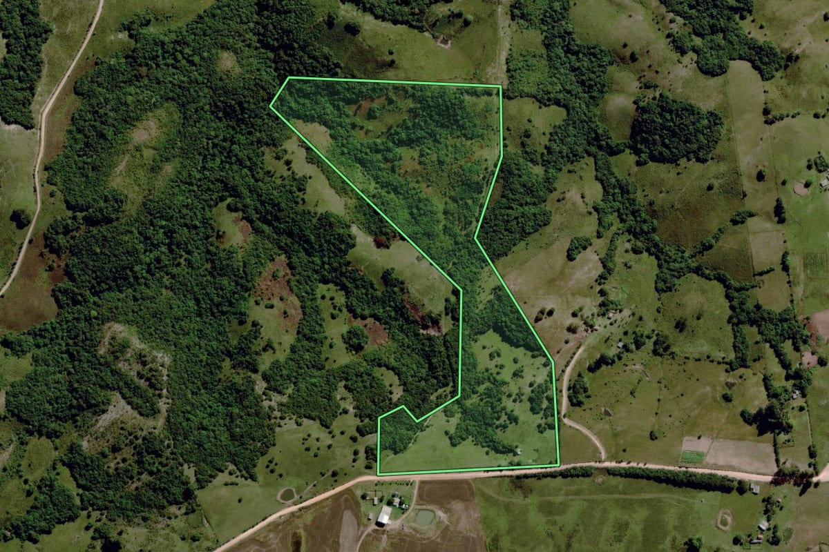 Imagem de satélite do imóvel rural em Santana da Boa Vista (RS), com o contorno declarado no CAR desenhado por cima.