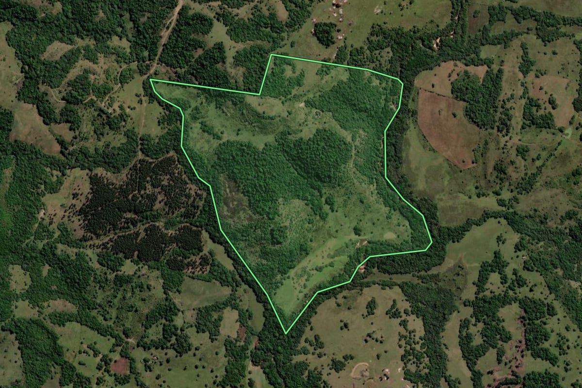 Imagem de satélite do imóvel rural em Santana da Boa Vista (RS), com o contorno declarado no CAR desenhado por cima.