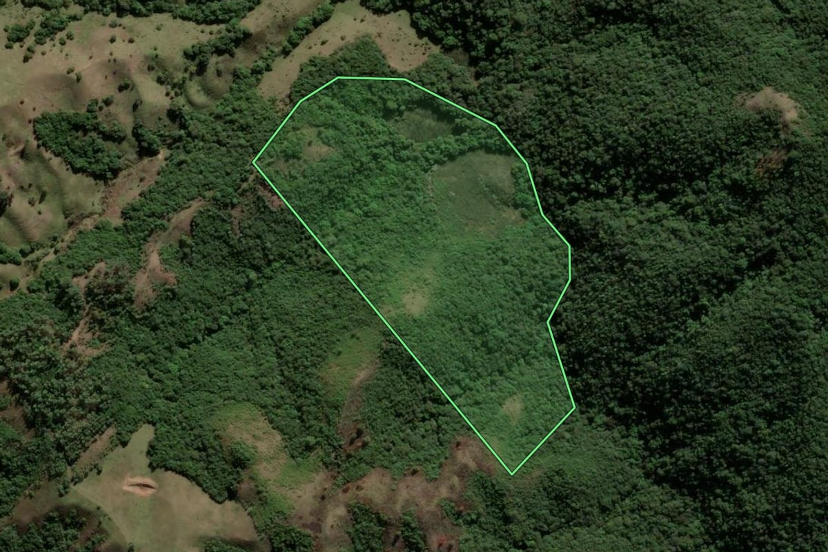 Imagem de satélite do imóvel rural em Santana da Boa Vista (RS), com o contorno declarado no CAR desenhado por cima.