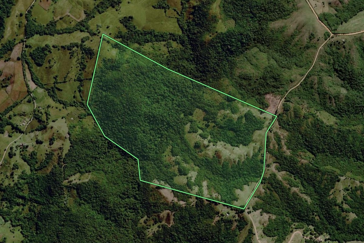 Imagem de satélite do imóvel rural em Santana da Boa Vista (RS), com o contorno declarado no CAR desenhado por cima.