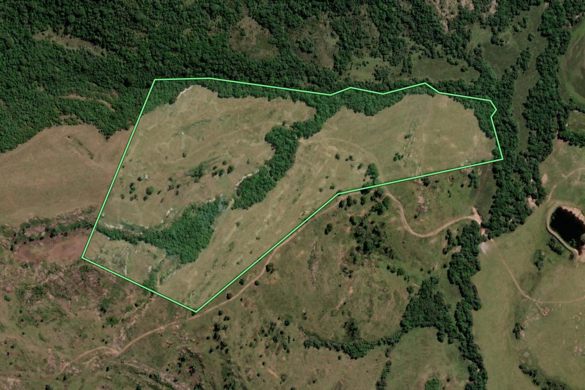 Imagem de satélite do imóvel rural em Santana da Boa Vista (RS), com o contorno declarado no CAR desenhado por cima.